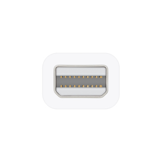 Apple Thunderbolt to FireWire Adapter
