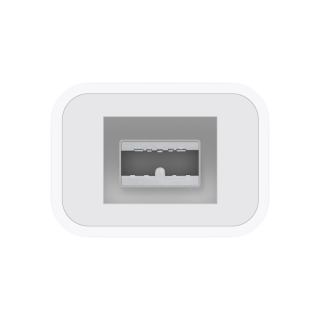 Apple Thunderbolt to FireWire Adapter