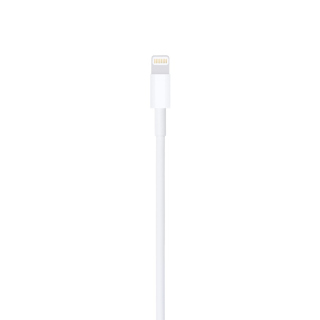 Apple Lightning To USB Cable (1M)