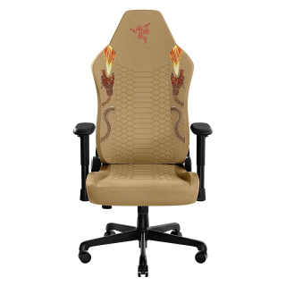 Razer Iskur V2 X Counter Strike 2 Edition Gaming Chair With Built-In Lumbar Support, High Density Foam Cushions, 2D Armrests