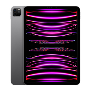 Apple iPad Pro 11" (4th Gen-2022) M2 chip 128GB WiFi - Space Gray