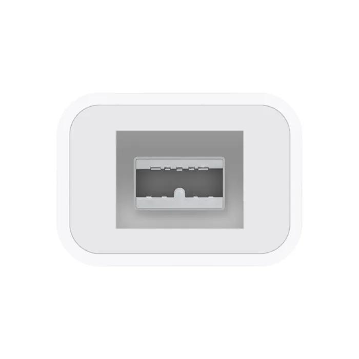 Apple Thunderbolt to FireWire Adapter